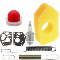 фото thumb №14, Stratton briggs набір фільтр membrany пружини