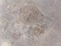 фото thumb №11, Macan підкрилок праві перед 95b809962