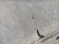 фото thumb №11, Бампер задняя задний fiat bravo ii 735426845