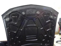 фото thumb №9, Капот кришка двигуна ford mustang 05-09 llu