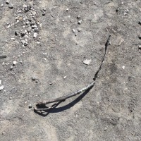 фото thumb №1, Шланг системи підсилювача koyo fabia