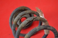 фото thumb №5, Пружина задняя задняя vw new beetle 2.0 8v 115 km 98-05