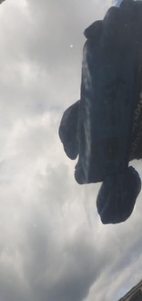 фото thumb №6, Крила лівий перед renault captur ii lak.tegne