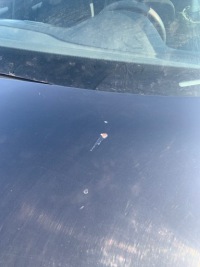 Skoda octavia 2 mk2 капот крышка двигателя - lf9r Киев, фото thumb