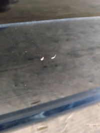 фото thumb №10, Двері лівий перед volkswagen bora k:lc9z