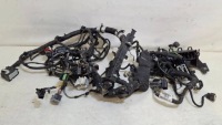 фото thumb №6, Установка жгут камеры двигателя ford mondeo mk5 1.5 ecobost kg9t-12a581