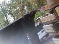 фото thumb №11, Бампер задняя nissan qashqai ii 2 lift 17-21 pdc