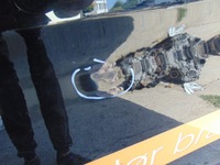 фото thumb №6, Дверь сдвижные левая боковой раздвижные ford transit custom