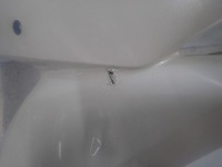 фото thumb №6, Бампер перед передній toyota chr ch-r 2016-