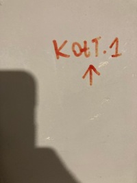 фото thumb №6, Оригінальний номер bmw молдинг бічна права передньої скло bmw x3 g01 51137399032