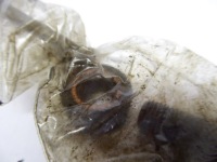 фото thumb №3, Scenic iii шланг трубка масла турбины 1.4 16v