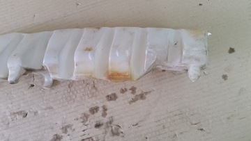 фото thumb №14, Suzuki 71762-65j01 абсорбер бампера правый lub левый