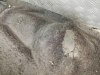 фото thumb №7, Підкрилок задня задні праве peugeot 5008 i