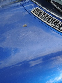 фото thumb №4, Mini cooper r50 r53 капот кришка двигуна код лакофарбового покриття 862/5 indi blue