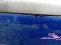 фото thumb №8, Дверь правые перед vw passat b5 lc5x