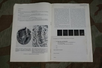 Брошюра о книге Das Herz des Menschen Heart