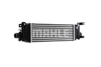 фото thumb №11, Ford fiesta v fusion tdci mahle