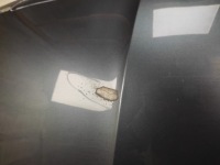 Skoda superb 3 3v0 капот крышка двигателя перед 2015- в Украине, фото thumb