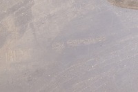 фото thumb №5, Подкрылок левая передние fiat bravo 2 ii 51757498