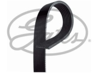 фото thumb №2, Ремінь багатореберний renault master iii 2.3 10- opel movano b 2.3 10-