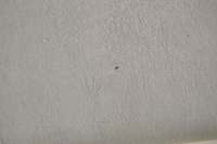 фото thumb №8, Кришка дах soft top кришка багажника mercedes r129 sl 1297500046