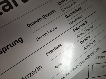 TABLICZKA NA BOKS KONIA DO STAJNI DLA TWOJEGO KONIA Personalizowana DIBOND