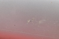 фото thumb №7, Накладка порог правая 744 mercedes ml w163 lift 01-05