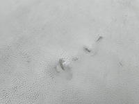 фото thumb №9, Hyundai santa fe 2007 подлокотник задний сиденье