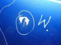 Nissan qashqai j10 bv4 g капот крышка двигателя в Украине, фото thumb