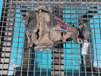 Купити Міст задній задній 3,64 mercedes w210 2.2d, фото thumb