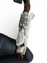 Дзеркало праве bmw z4 e85 e86 titansilber електричний 7058958 uk anglik Недорого, фото thumb