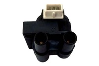 фото thumb №1, Котушка запалювання magneti marelli 060717069012