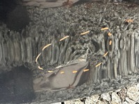 фото thumb №15, Jaguar f-pace 16r- кришка багажника задня кришка багажника задня