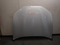 фото thumb №1, Капот ford mustang mach e 2020-