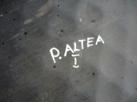 фото thumb №15, Захист підвіска нижня права seat leon ii altea golf v vi оригінал справна