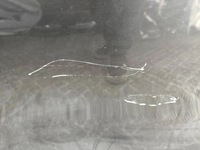 фото thumb №6, Bmw i3 2017 права сторона двері