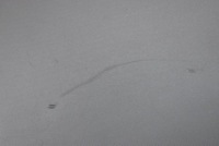 фото thumb №5, Панель раздаточная консоль капот eu opel corsa d 06-11