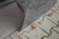 фото thumb №4, Дверь правый задняя правое задние opel crossland x 17-