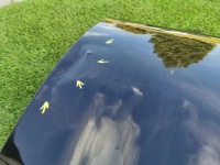 фото thumb №5, Mercedes cls 257 двері ліва перед