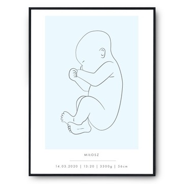 Plakat Metryczka Noworodka 1:1 Kolory 50x70 MN01