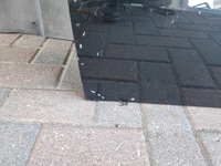 фото thumb №13, Двері перед правий renault kangoo iv 2021- citan w420