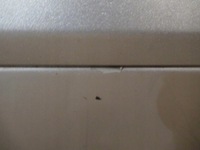 фото thumb №9, Двері зад праві skoda octavia ii рестайлінг 08/13 універсал