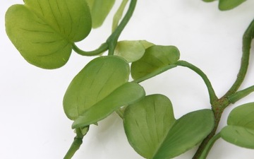 искусственная лоза HOYA KERRII 90 листьев лозы ходжи