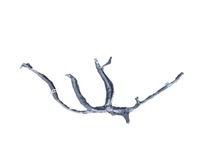 фото thumb №1, Джгут генератора a2135409616 mercedes w213