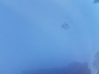 фото thumb №10, Kia sportage iii капот крышка двигателя 9s оригинал