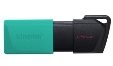 ПАМЯТЬ KINGSTON PENDRIVE DTXM USB 3.0 256 ГБ