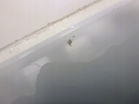 фото thumb №10, Porsche cayenne coupe gts turbo спойлер накладка 9y3