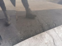 фото thumb №5, Капот кришка двигуна renault laguna ii lift teb66