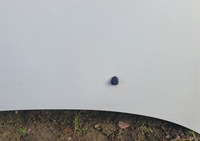 фото thumb №8, Капот крышка citroen c3