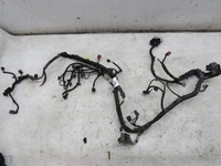 фото thumb №1, Жгут двигателя ecosport 1.0 b dv2t-12a522-bad